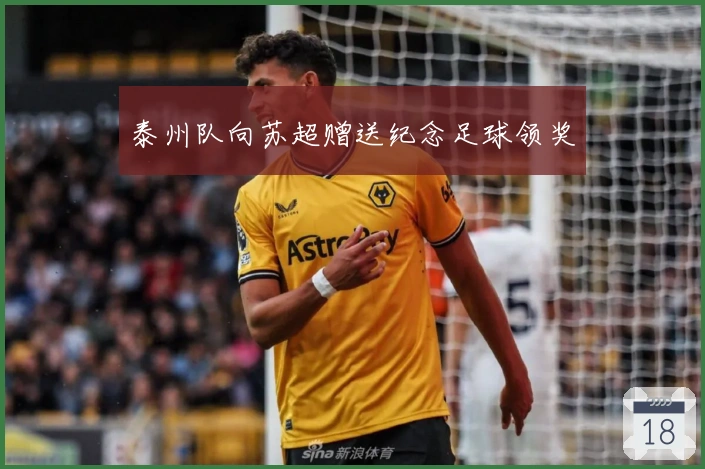 泰州队向苏超赠送纪念足球领奖